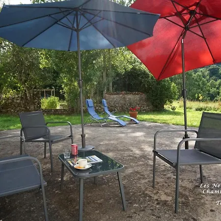 Les Neuf Bouleaux 3*