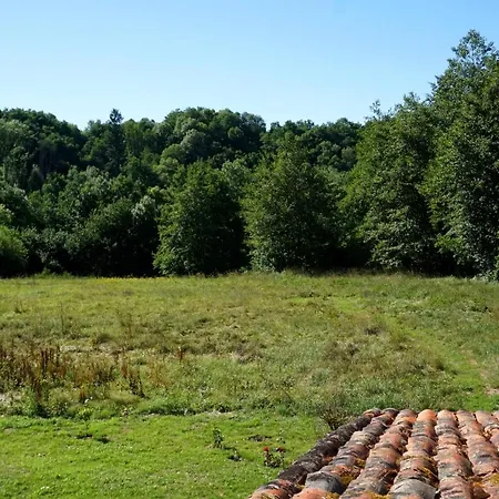 Les Neuf Bouleaux 3*