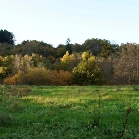 Les Neuf Bouleaux Job