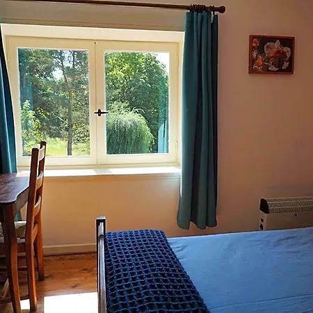 Bed and breakfast Les Neuf Bouleaux Job