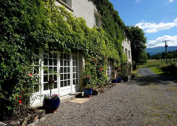 Les Neuf Bouleaux 3* Job