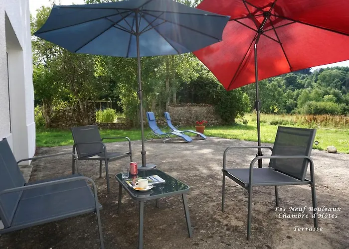 Les Neuf Bouleaux 3*