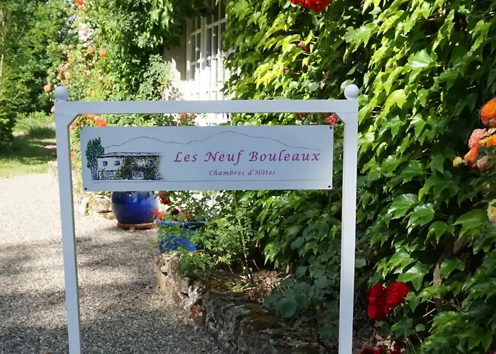 Les Neuf Bouleaux Отель типа 