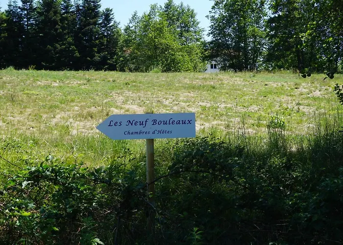 Les Neuf Bouleaux Отель типа 