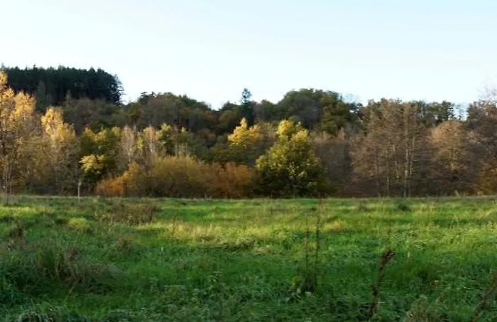 Les Neuf Bouleaux Job