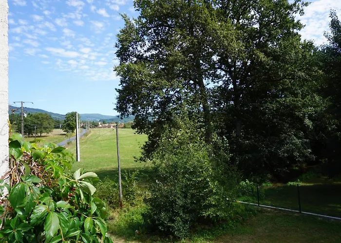 Les Neuf Bouleaux Отель типа 